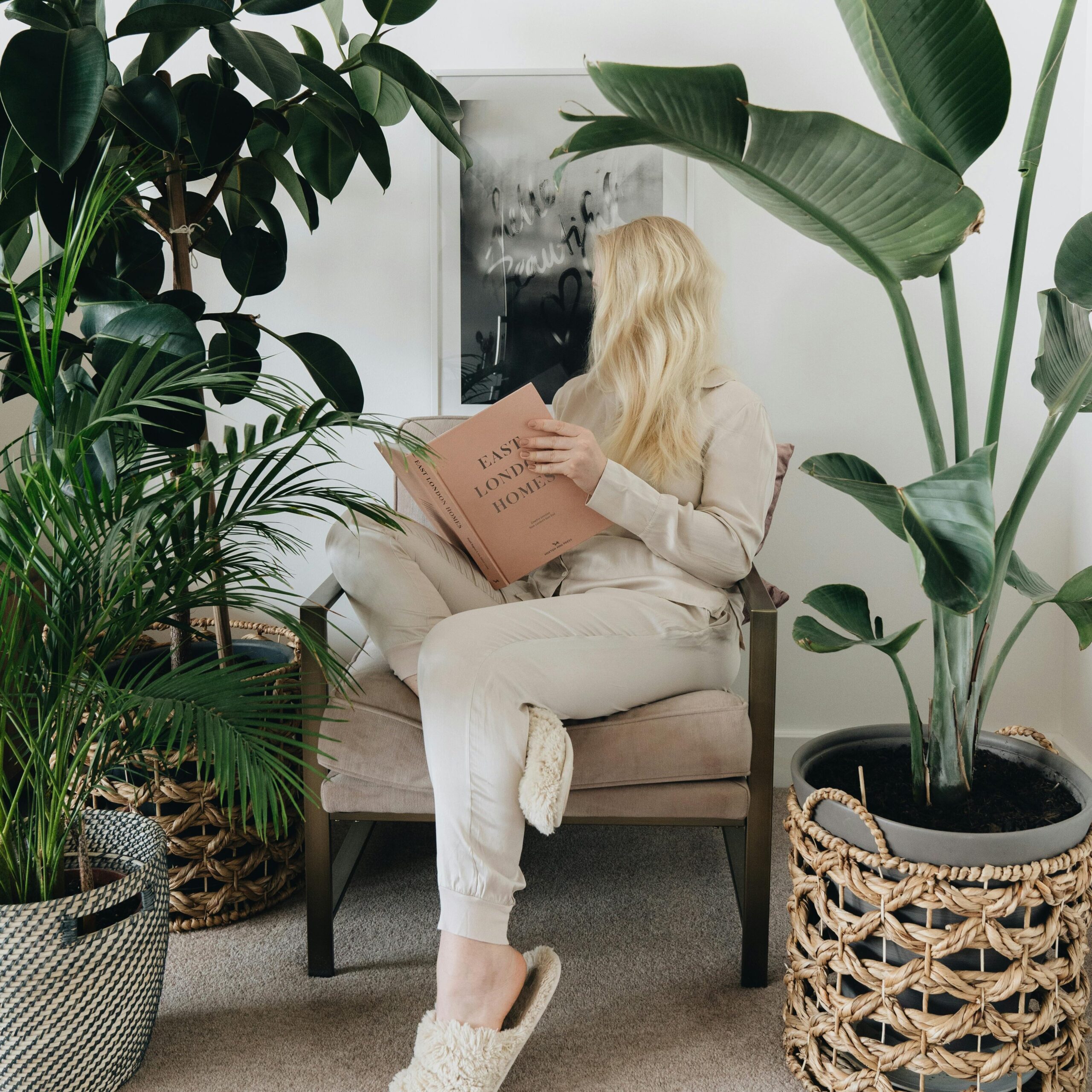 Biljke u prostoru, biophilic design